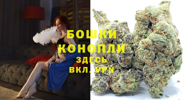спайс Лагань