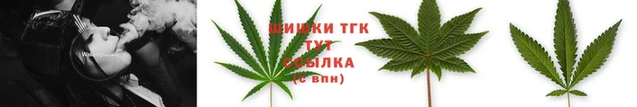 прущий лед Ладушкин